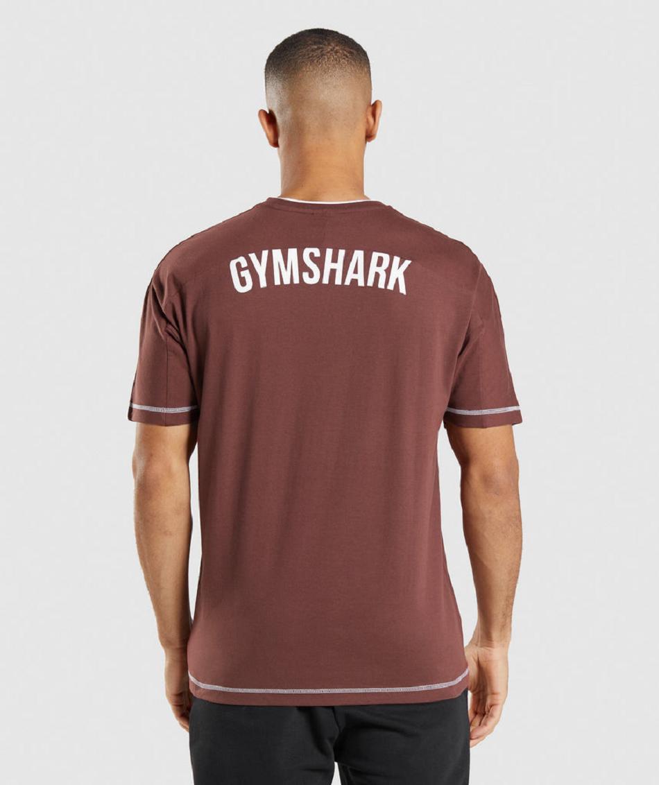 T Shirts Gymshark Recess Hombre Rosas Marrones Blancas | CO 3339JPQ